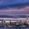 Auckland Engagement Rings