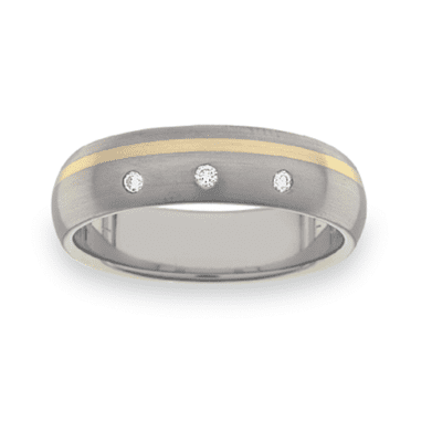 Titanium Wedding Ring PD448