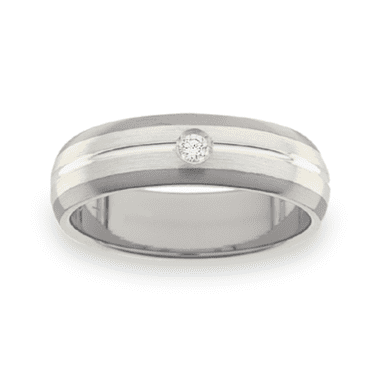 Titanium Wedding Ring PD463