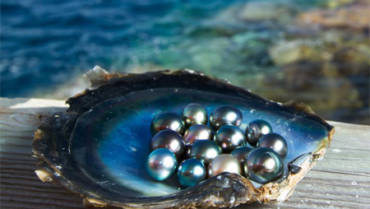Pearl Gemstone Facts