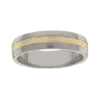 Titanium Ring PD213