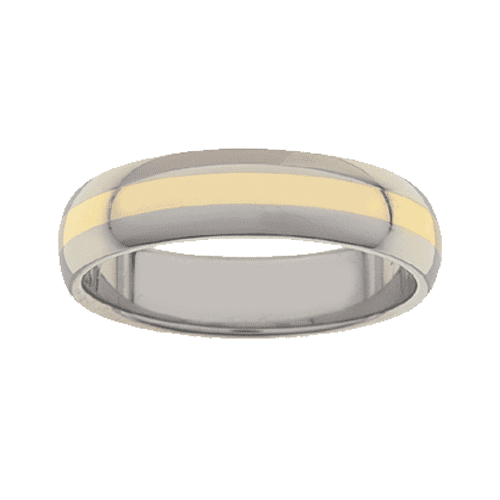 Titanium Ring PD216