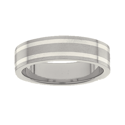 Titanium Ring PD217