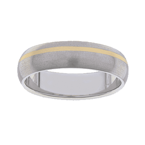 Titanium Ring PD219
