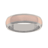 Titanium Ring PD231