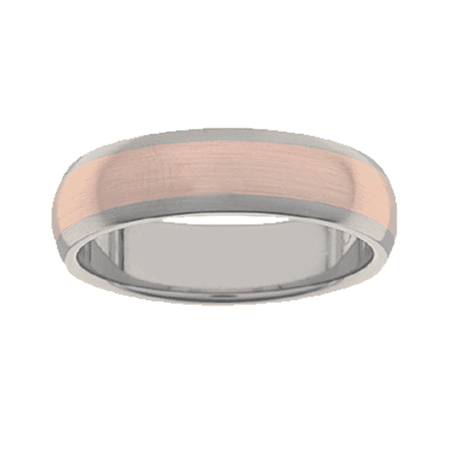 Titanium Ring PD231