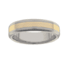 Titanium Ring PD233