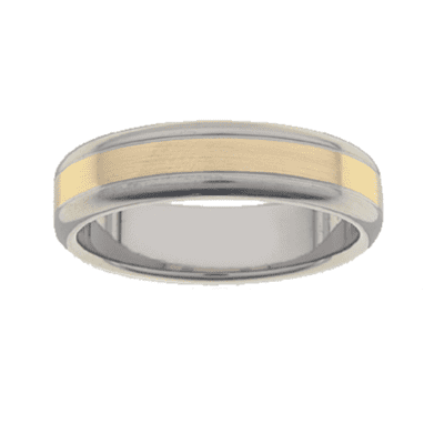 Titanium Ring PD233