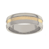 Titanium Ring PD234