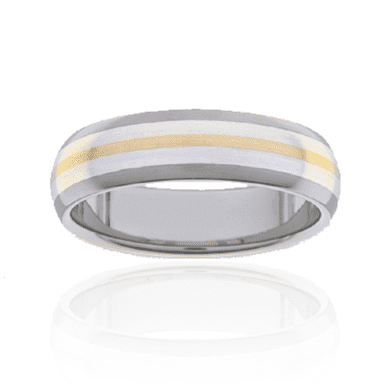 Titanium Ring PD237