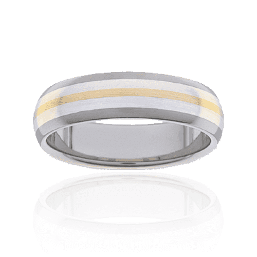 Titanium Ring PD237