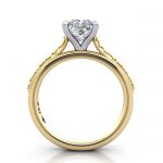 Princess Engagement Ring, Yellow Gold, RS50, TF
