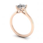RS1-princess-ROSE-3D