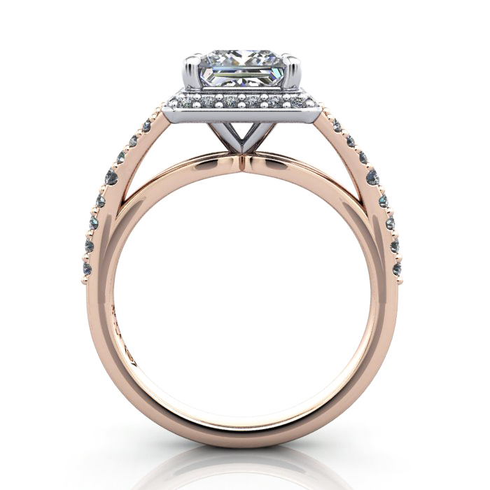 RH3-Princess-RG-TF