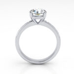 Round Brilliant Solitaire Accent Diamond Ring Platinum RSA19 TF