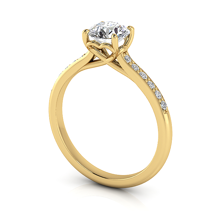 Round Brilliant Solitaire Accent Diamond Ring Yellow Gold RSA1 3D