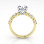 Round Brilliant Solitaire Accent Diamond Ring Yellow Gold RSA18 TF