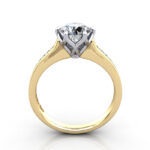Round Brilliant Solitaire Accent Diamond Ring Yellow Gold RSA3 TF