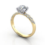 Round Brilliant Solitaire Accent Diamond Ring Yellow Gold RSA7 3D